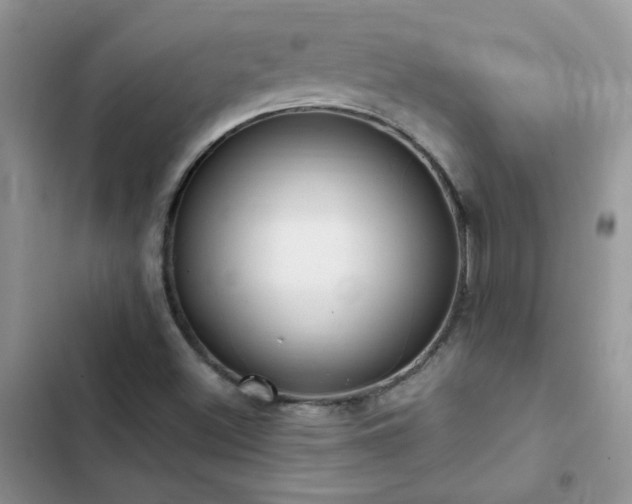 X0000102871500200808181453