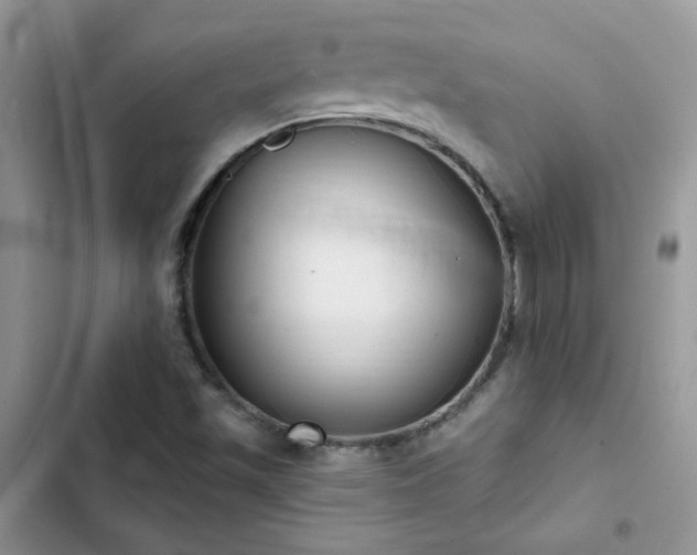 X0000102871501200808181453