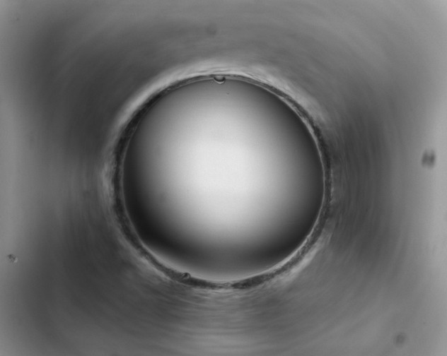 X0000102871502200808181453