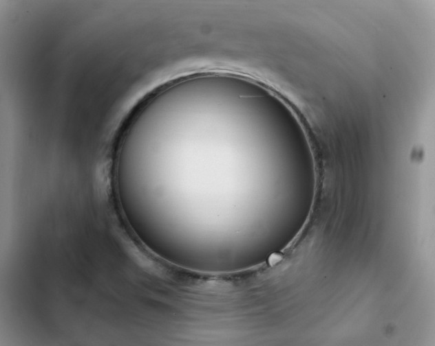 X0000102871503200808181453
