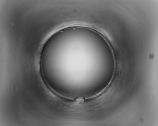X0000102871504200808181453
