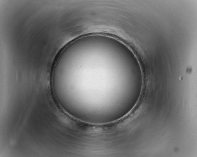 X0000102871505200808181453