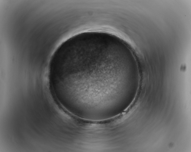 X0000102871506200808181453