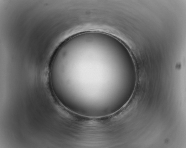 X0000102871507200808181453