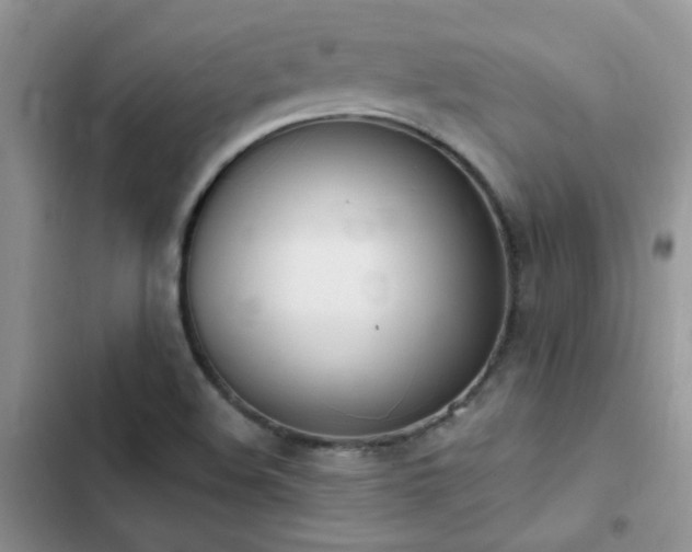 X0000102871508200808181453