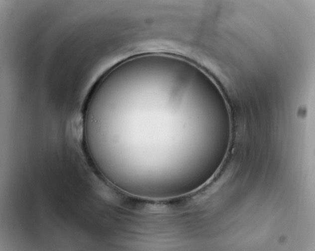X0000102871509200808181453