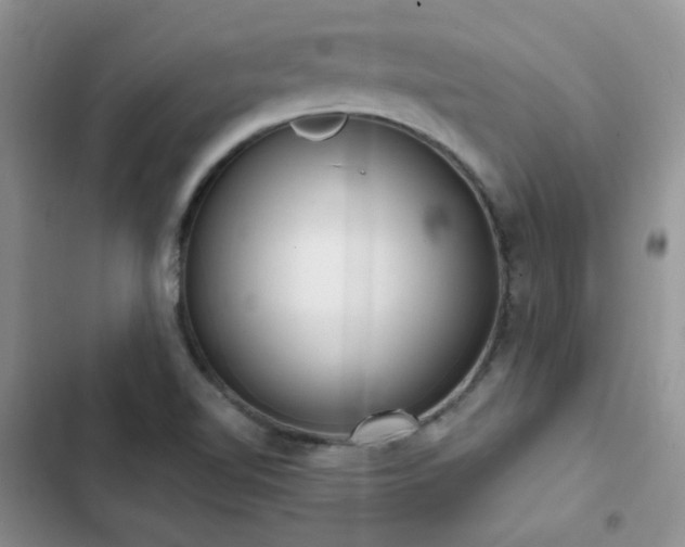 X0000102871510200808181453