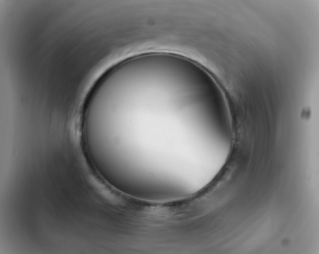 X0000102871511200808181453