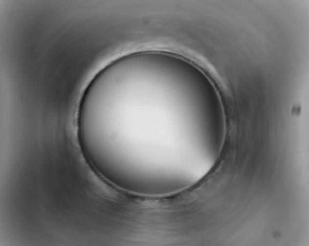 X0000102871512200808181453