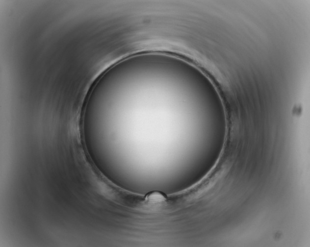 X0000102871513200808181453