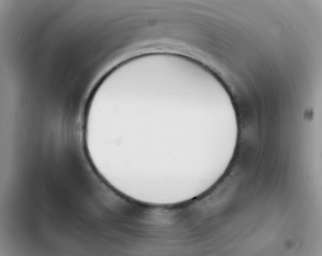 X0000102871514200808181453