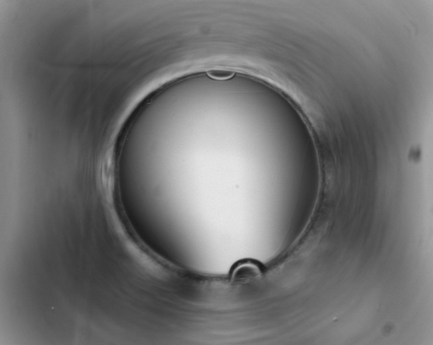 X0000102871515200808181454