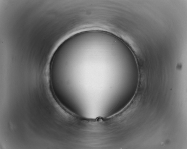 X0000102871516200808181454