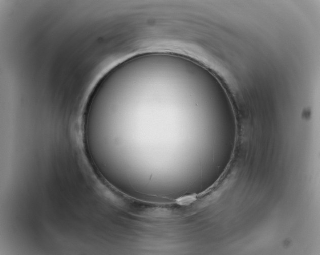 X0000102871517200808181454