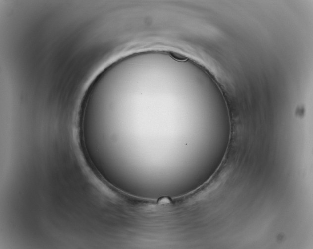 X0000102871518200808181454