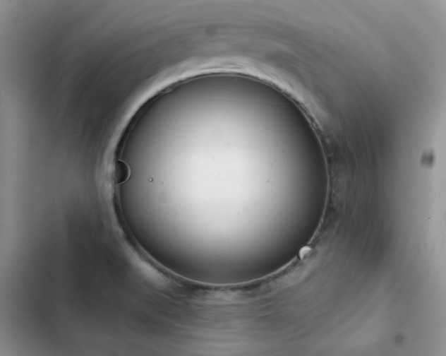 X0000102871519200808181454