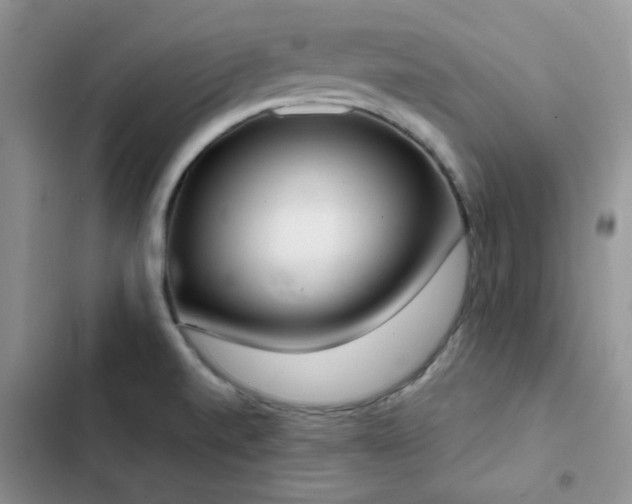 X0000102871520200808181454