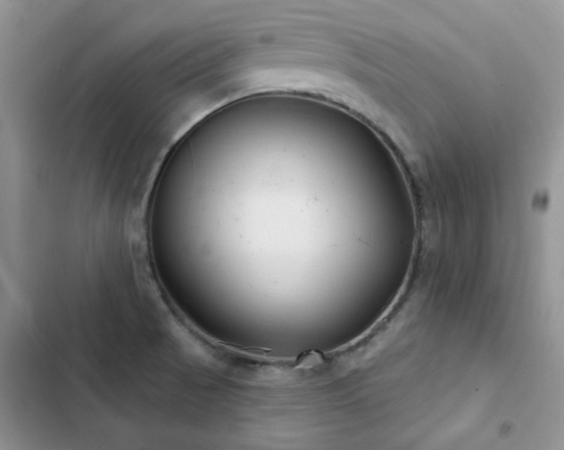 X0000102871521200808181454