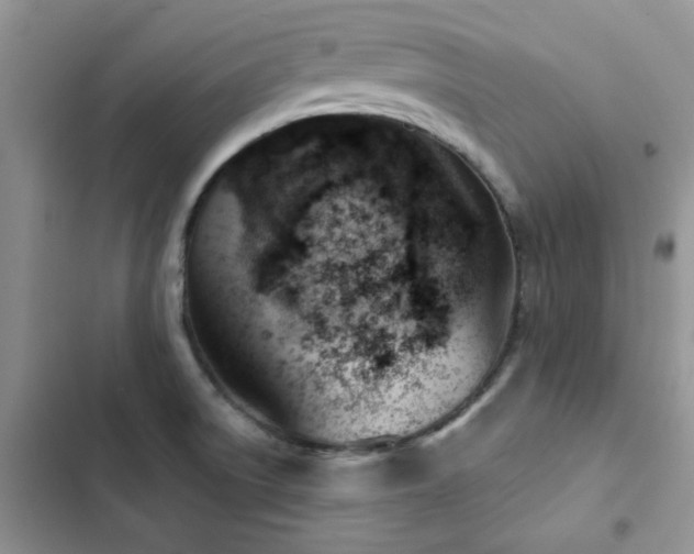 X0000102871522200808181454