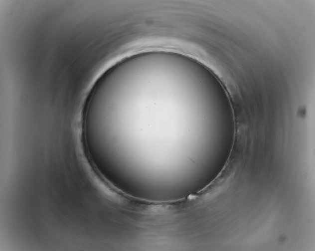 X0000102871523200808181454