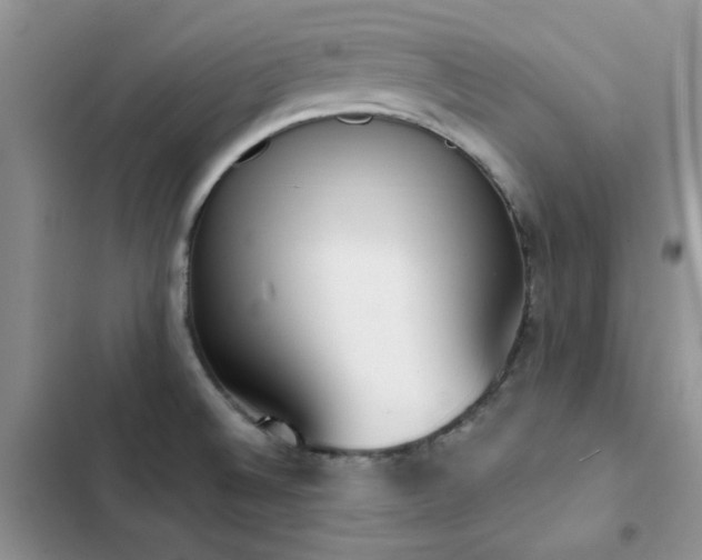 X0000102871524200808181454