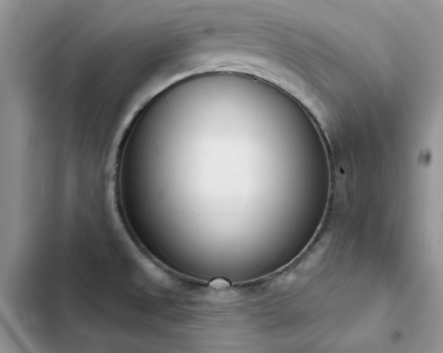 X0000102871525200808181454