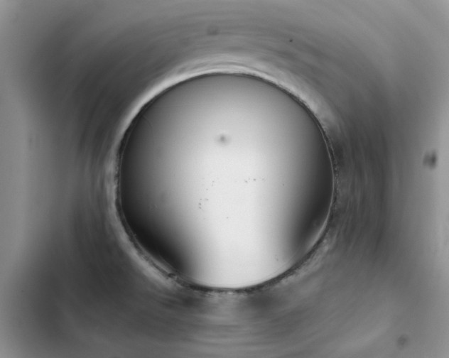 X0000102871526200808181454