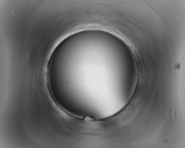 X0000102871527200808181454