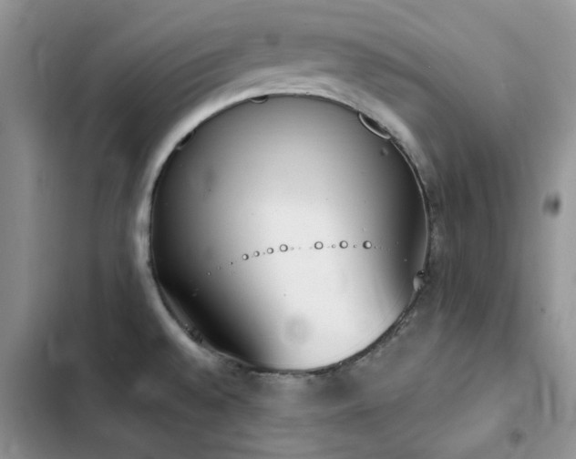 X0000102871528200808181454