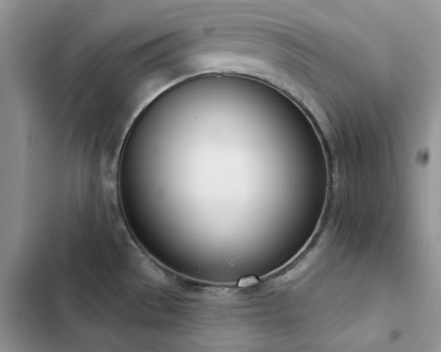 X0000102871529200808181454