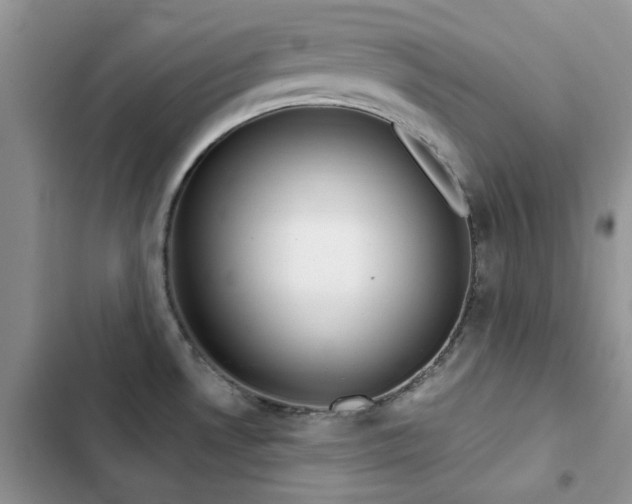 X0000102871530200808181454