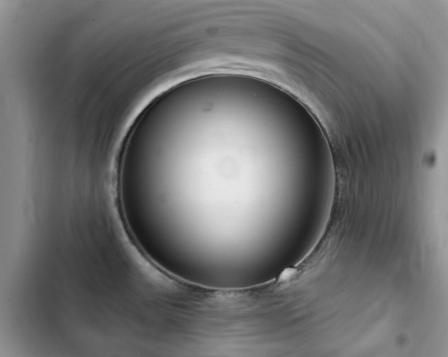 X0000102871531200808181454