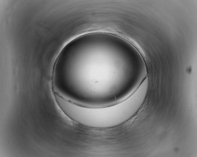 X0000102871532200808181454