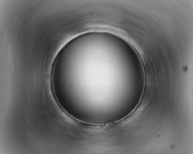 X0000102871533200808181454