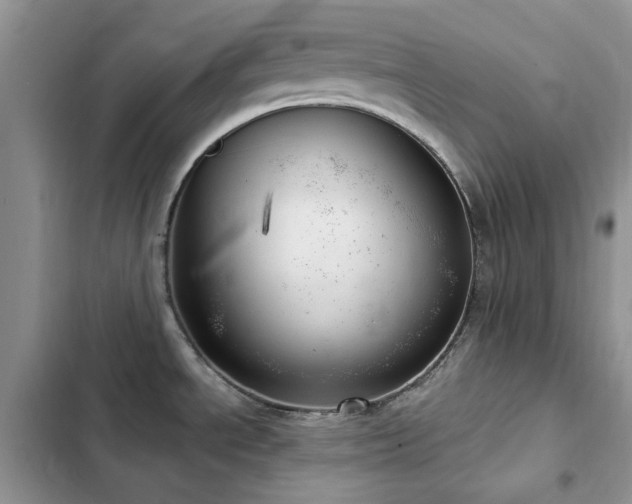 X0000102871534200808181454