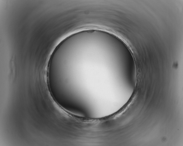 X0000102871535200808181454