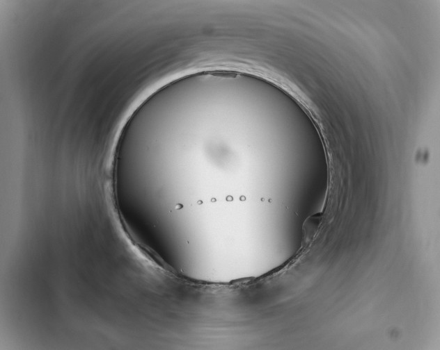 X0000102871536200808181454