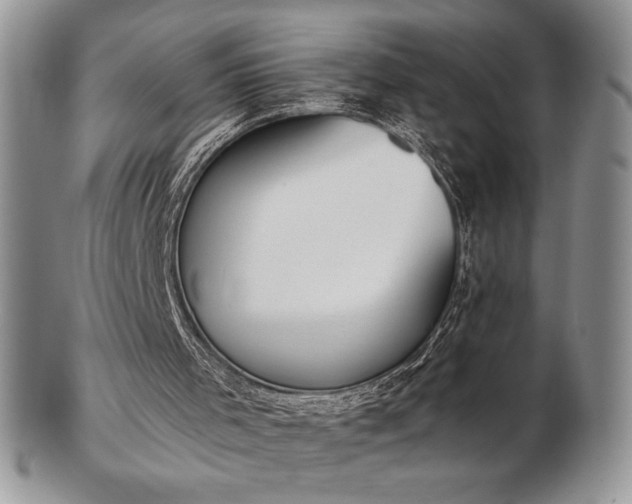 X0000102870001200808251252