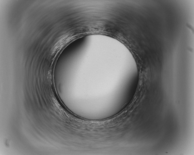 X0000102870002200808251252