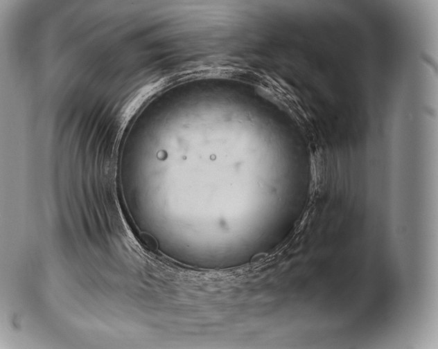 X0000102870003200808251252