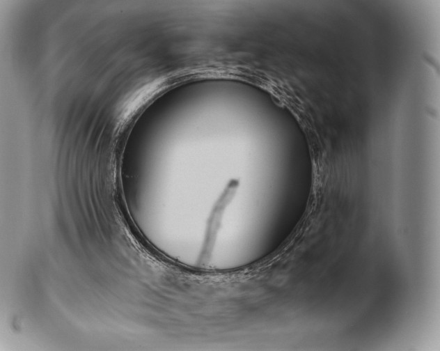 X0000102870005200808251252