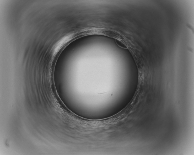 X0000102870006200808251252