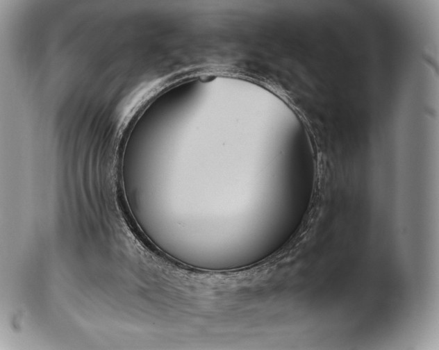 X0000102870007200808251252