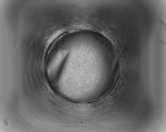 X0000102870008200808251252