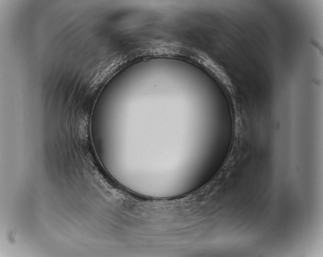 X0000102870009200808251252