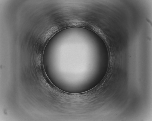 X0000102870010200808251252