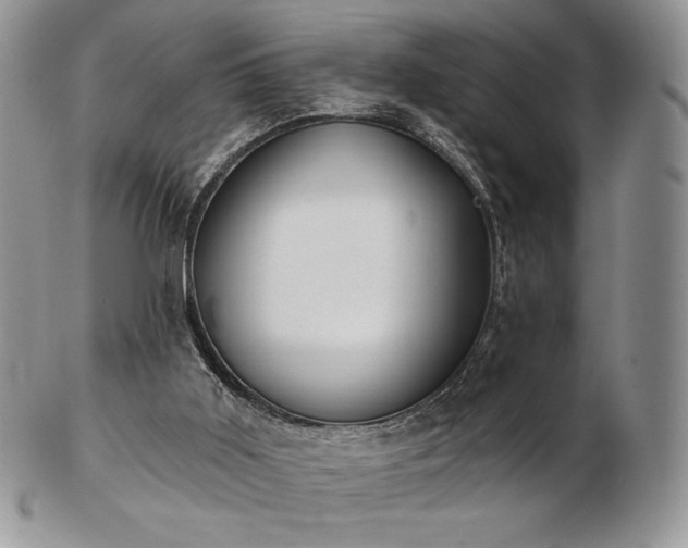 X0000102870011200808251252