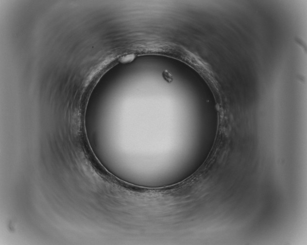 X0000102870012200808251252