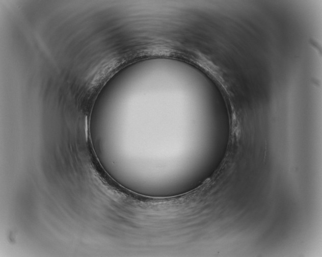 X0000102870013200808251252