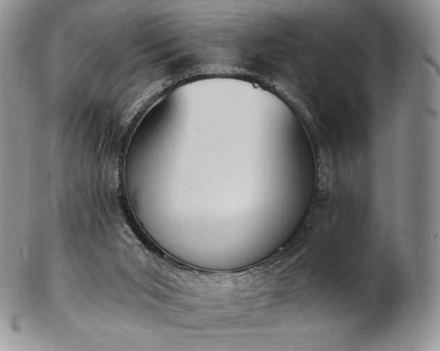 X0000102870015200808251252